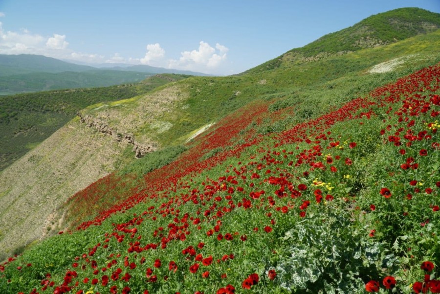 Dagestan.jpg