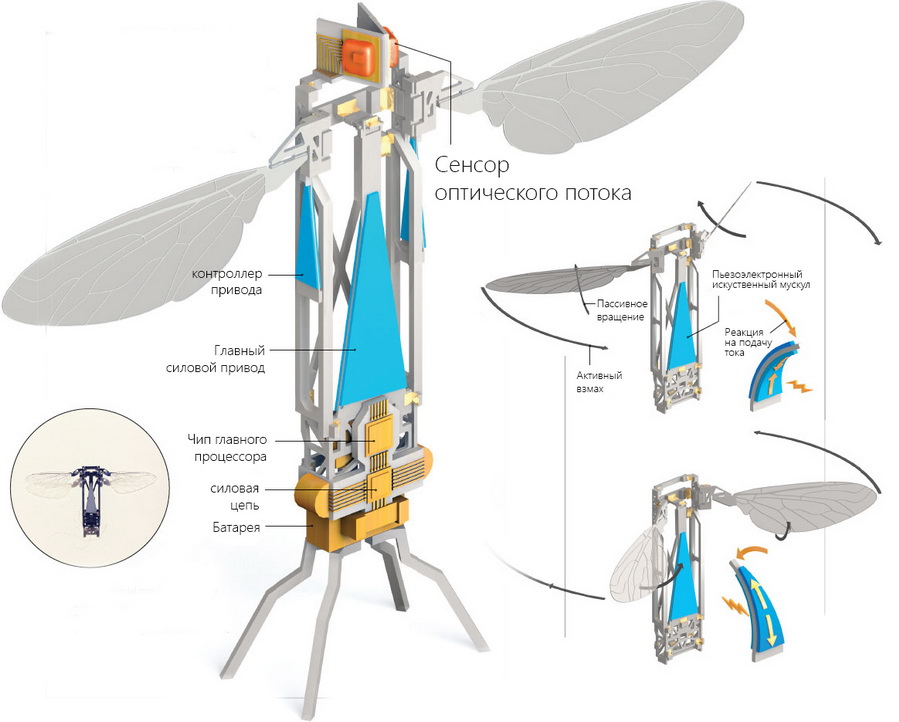 robobee-smaal.jpg